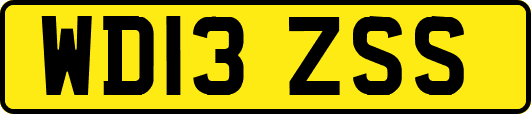 WD13ZSS