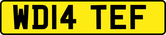 WD14TEF
