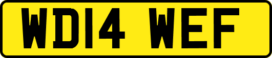 WD14WEF