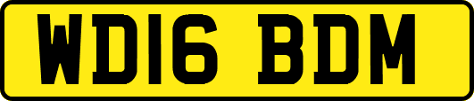 WD16BDM