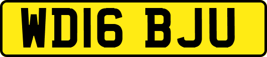 WD16BJU