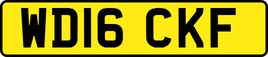 WD16CKF