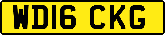 WD16CKG