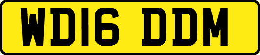 WD16DDM