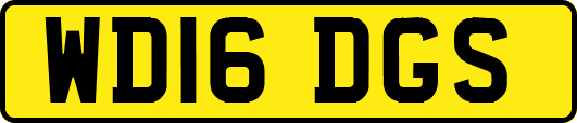 WD16DGS