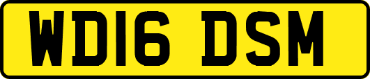 WD16DSM