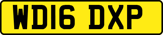 WD16DXP