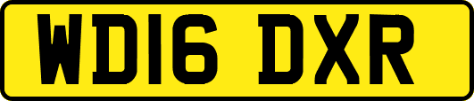 WD16DXR