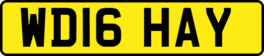 WD16HAY