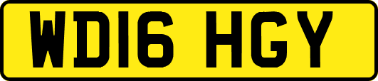 WD16HGY