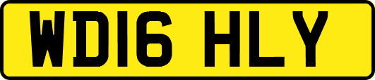 WD16HLY