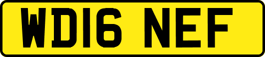 WD16NEF