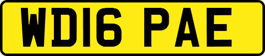 WD16PAE