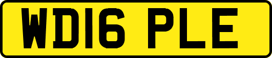 WD16PLE