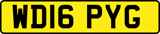 WD16PYG