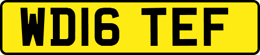 WD16TEF