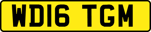 WD16TGM