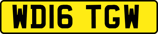 WD16TGW