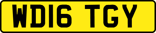 WD16TGY