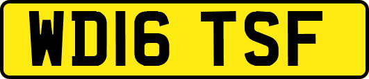 WD16TSF