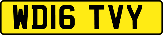 WD16TVY