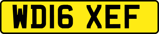 WD16XEF