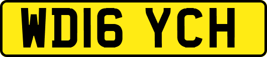 WD16YCH