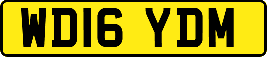 WD16YDM