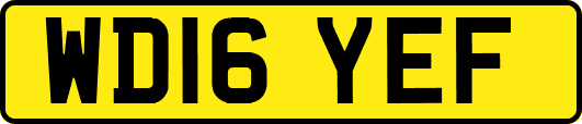WD16YEF