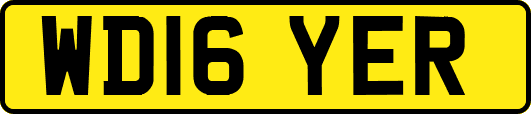WD16YER
