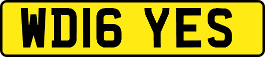 WD16YES