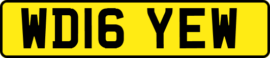 WD16YEW