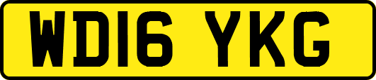 WD16YKG