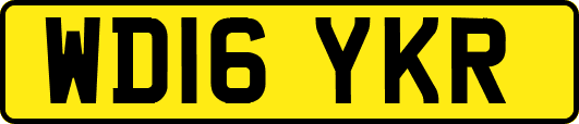 WD16YKR