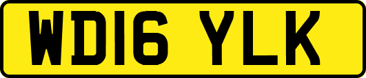 WD16YLK