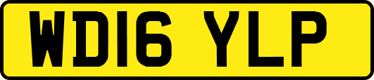 WD16YLP