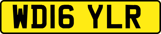 WD16YLR