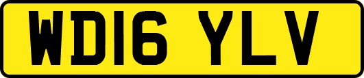 WD16YLV