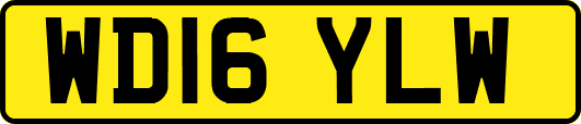 WD16YLW