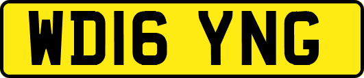 WD16YNG
