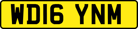 WD16YNM