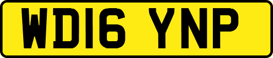 WD16YNP