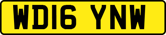 WD16YNW
