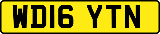 WD16YTN