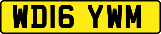 WD16YWM
