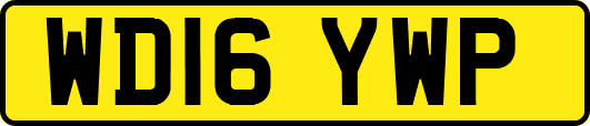 WD16YWP