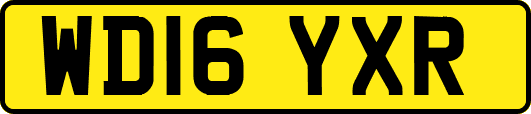 WD16YXR