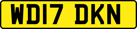 WD17DKN