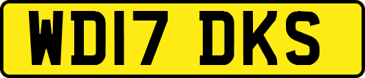 WD17DKS