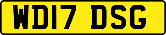 WD17DSG